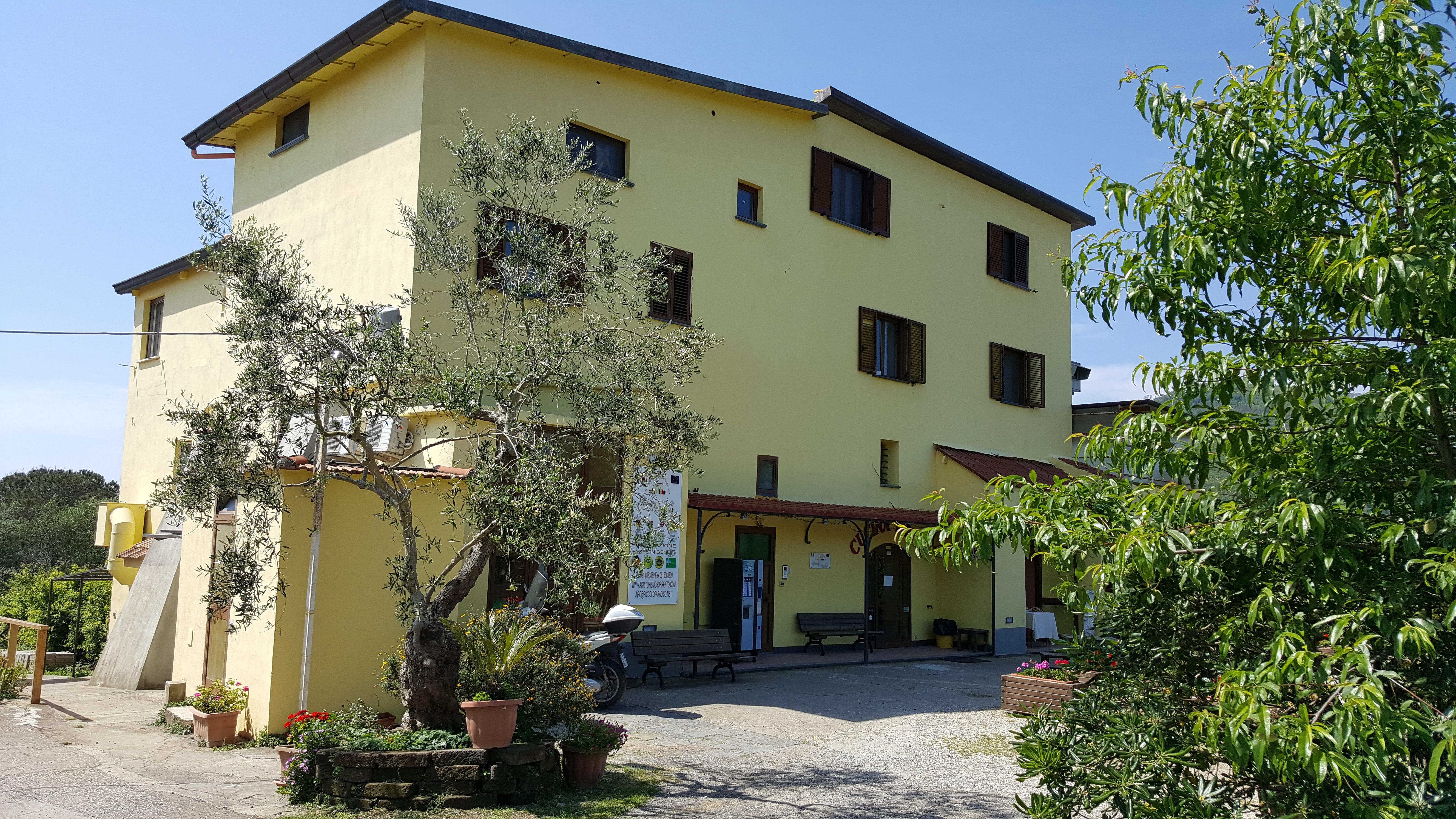 Agriturismo Piccolo Paradiso ピアーノ・ディ・ソッレント エクステリア 写真