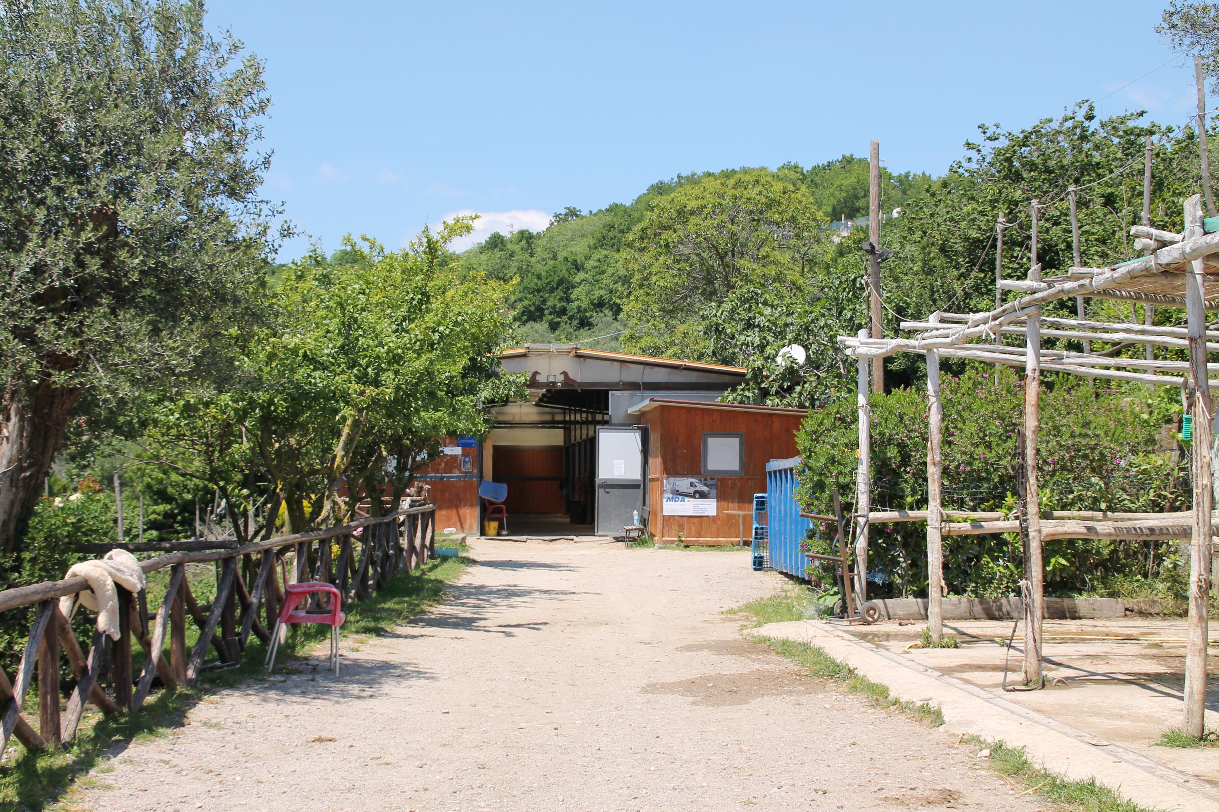 Agriturismo Piccolo Paradiso ピアーノ・ディ・ソッレント エクステリア 写真
