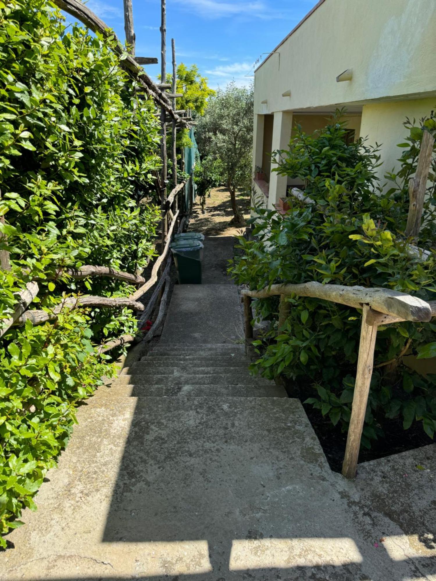 Agriturismo Piccolo Paradiso ピアーノ・ディ・ソッレント エクステリア 写真