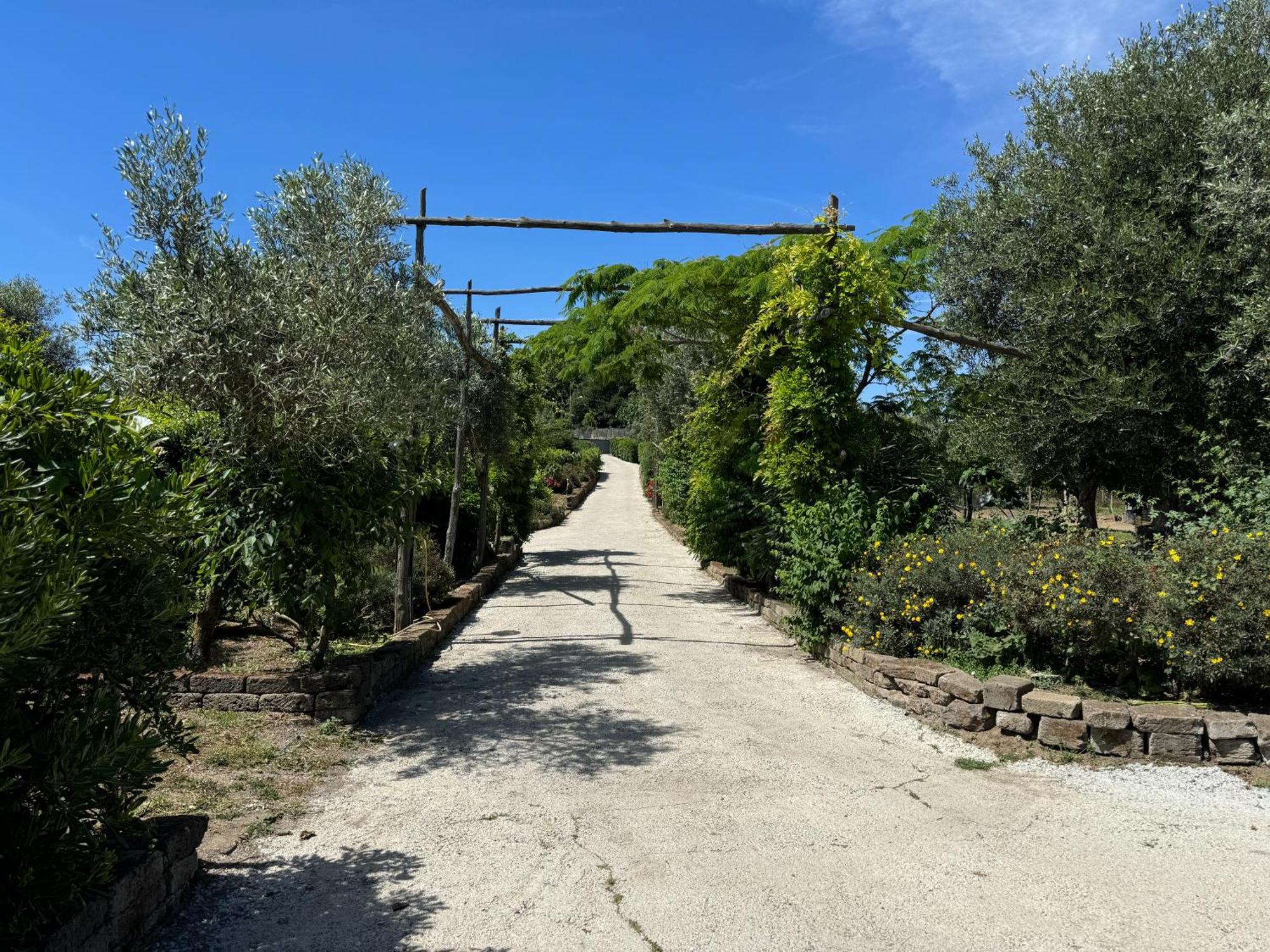 Agriturismo Piccolo Paradiso ピアーノ・ディ・ソッレント エクステリア 写真