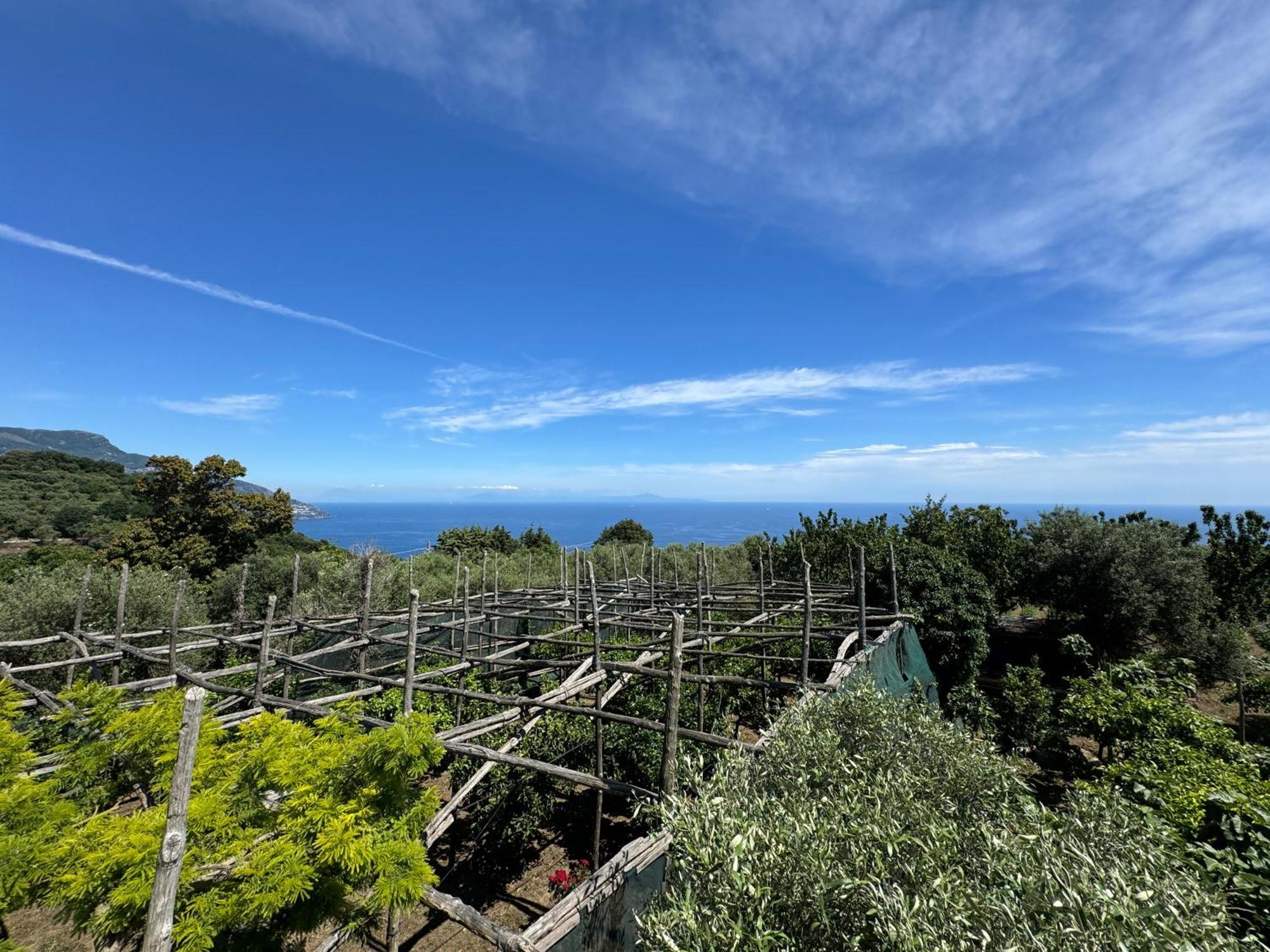 Agriturismo Piccolo Paradiso ピアーノ・ディ・ソッレント エクステリア 写真