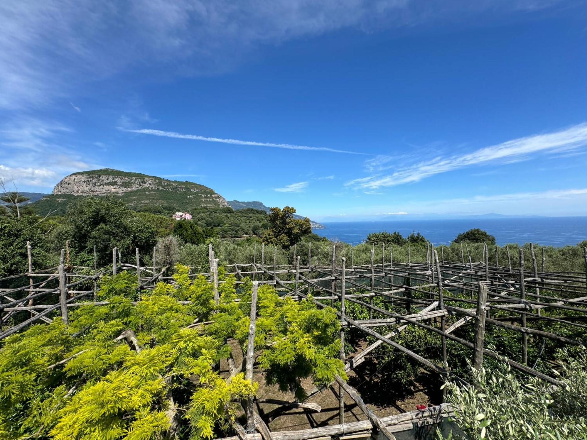 Agriturismo Piccolo Paradiso ピアーノ・ディ・ソッレント エクステリア 写真