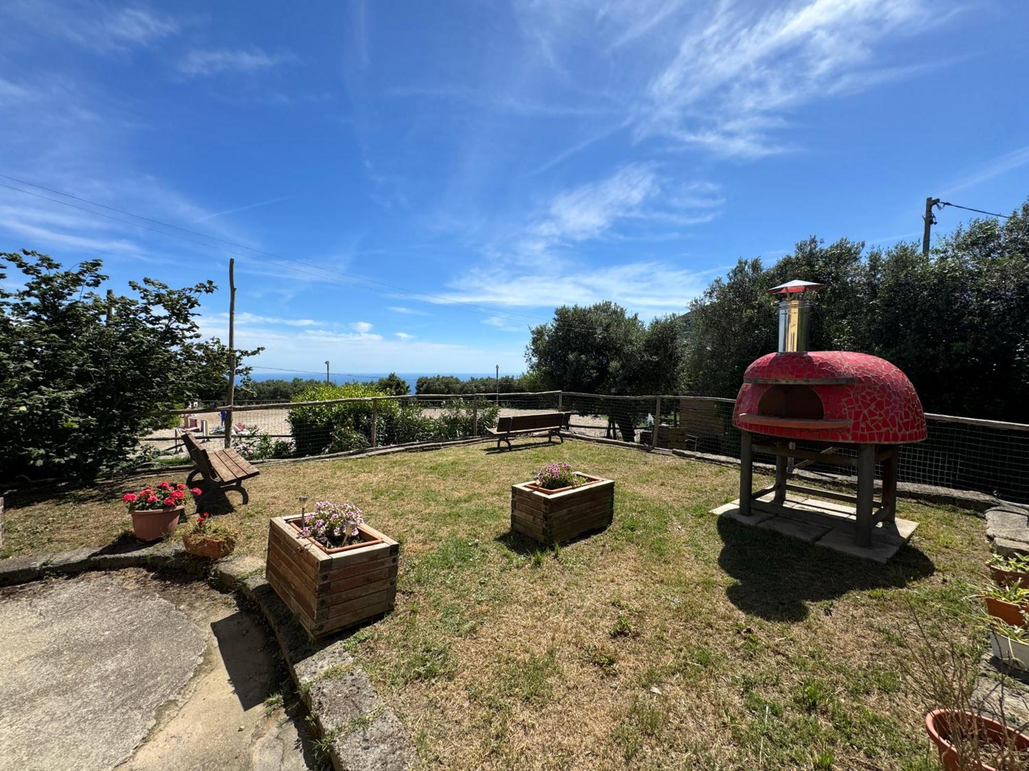 Agriturismo Piccolo Paradiso ピアーノ・ディ・ソッレント エクステリア 写真