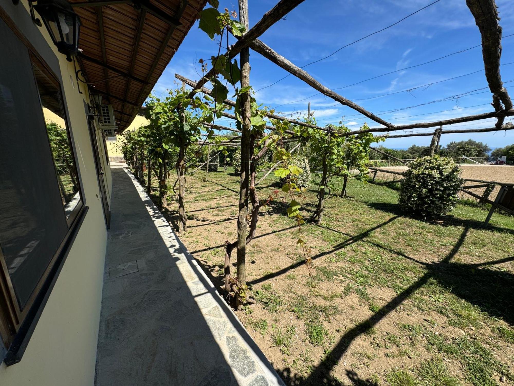 Agriturismo Piccolo Paradiso ピアーノ・ディ・ソッレント エクステリア 写真