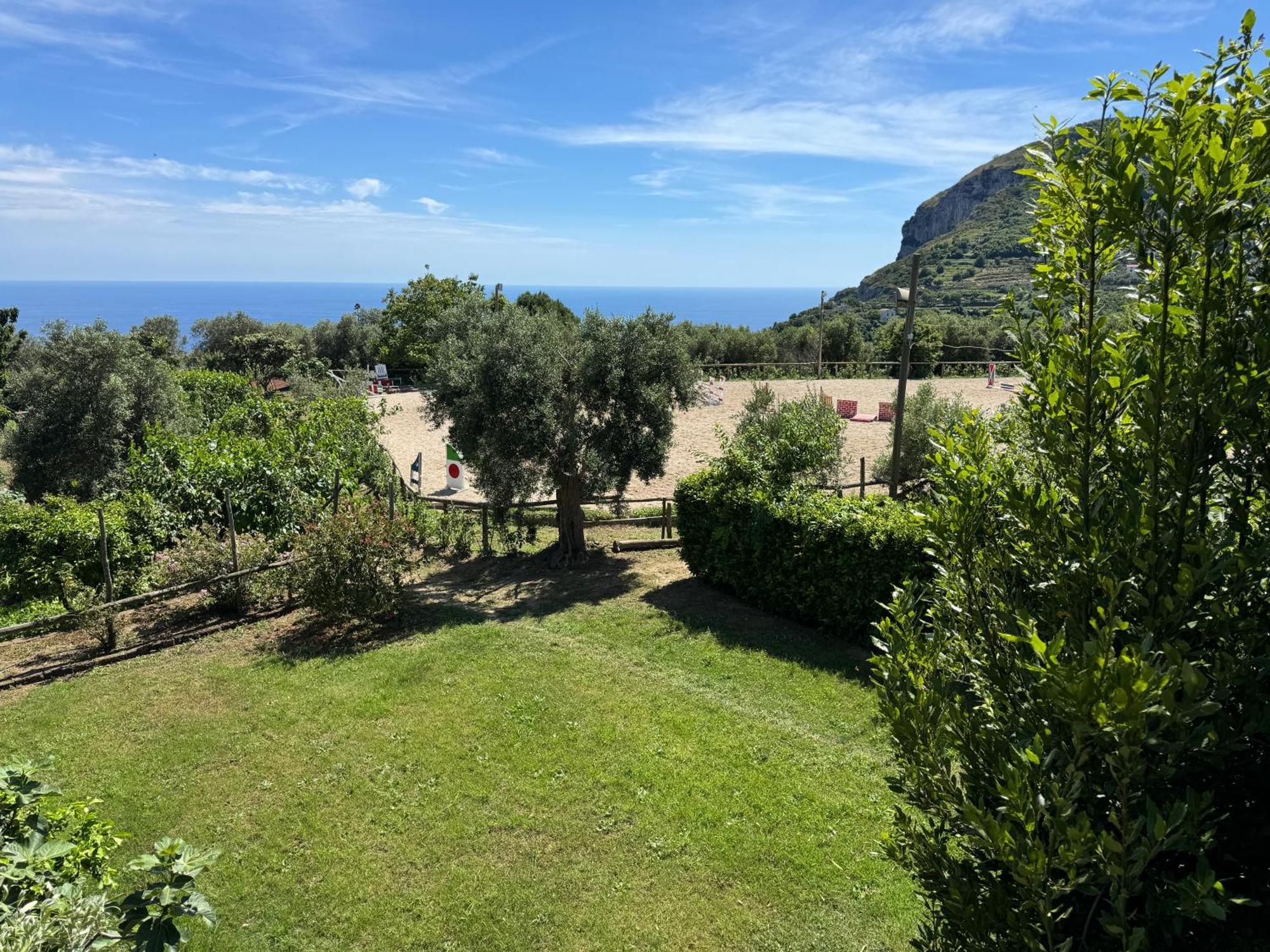 Agriturismo Piccolo Paradiso ピアーノ・ディ・ソッレント エクステリア 写真