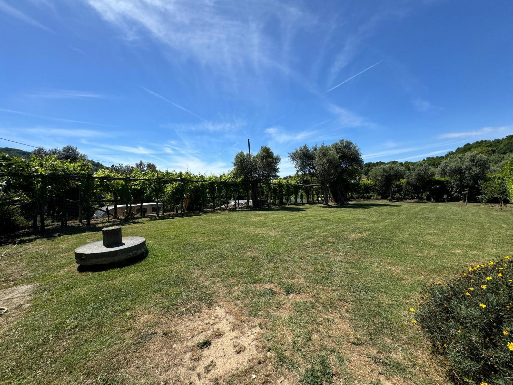 Agriturismo Piccolo Paradiso ピアーノ・ディ・ソッレント エクステリア 写真