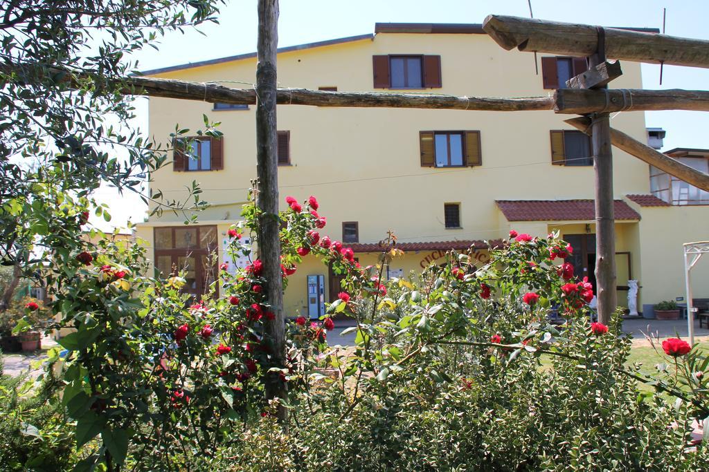 Agriturismo Piccolo Paradiso ピアーノ・ディ・ソッレント エクステリア 写真