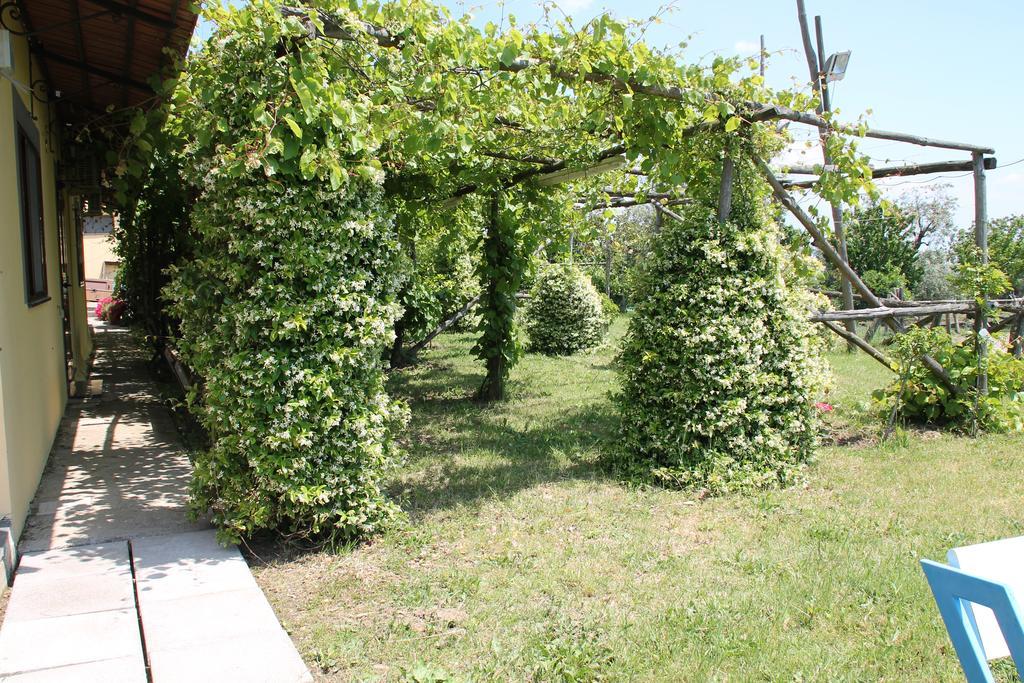 Agriturismo Piccolo Paradiso ピアーノ・ディ・ソッレント エクステリア 写真