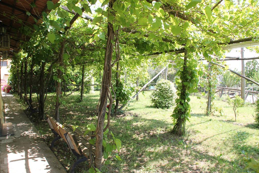 Agriturismo Piccolo Paradiso ピアーノ・ディ・ソッレント エクステリア 写真