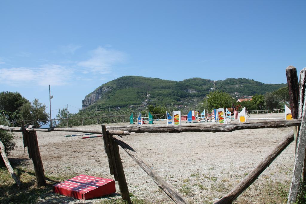 Agriturismo Piccolo Paradiso ピアーノ・ディ・ソッレント エクステリア 写真