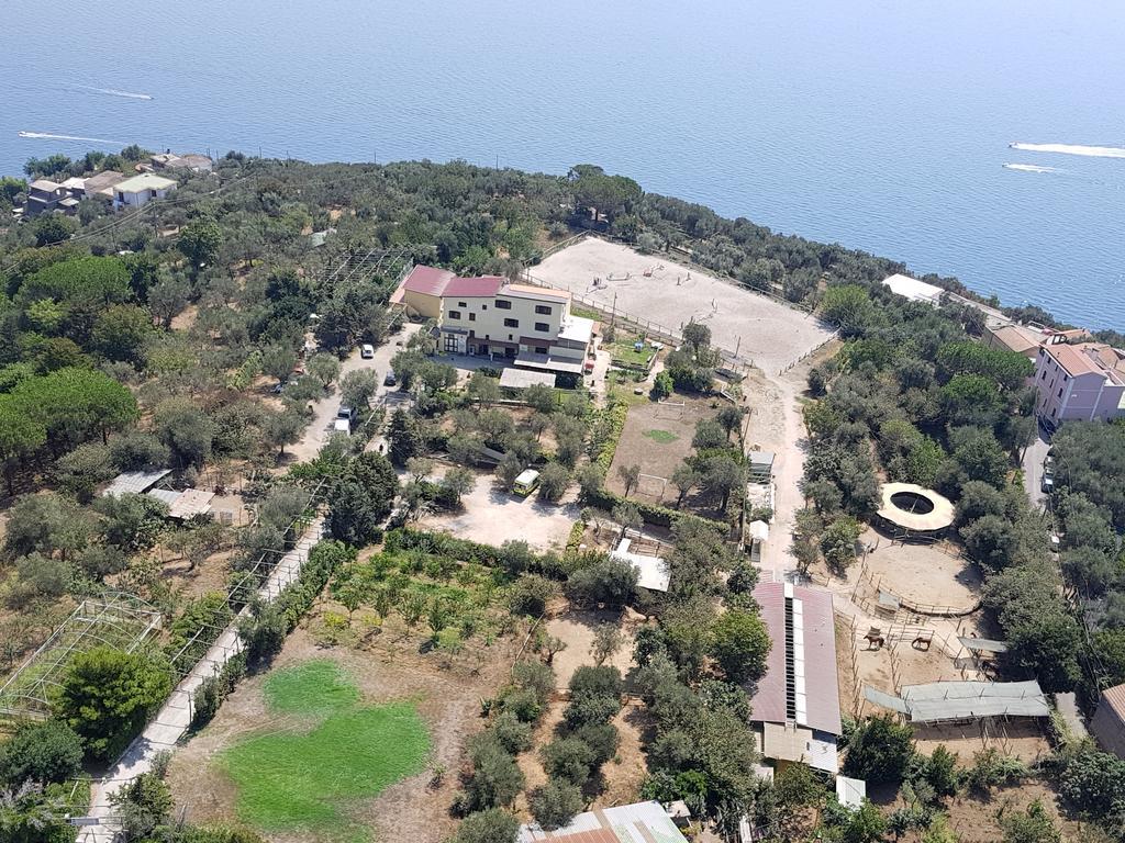 Agriturismo Piccolo Paradiso ピアーノ・ディ・ソッレント エクステリア 写真