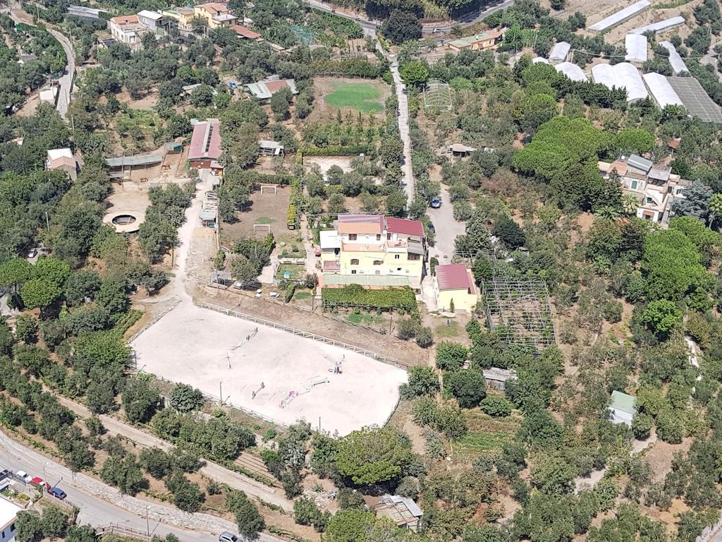 Agriturismo Piccolo Paradiso ピアーノ・ディ・ソッレント エクステリア 写真