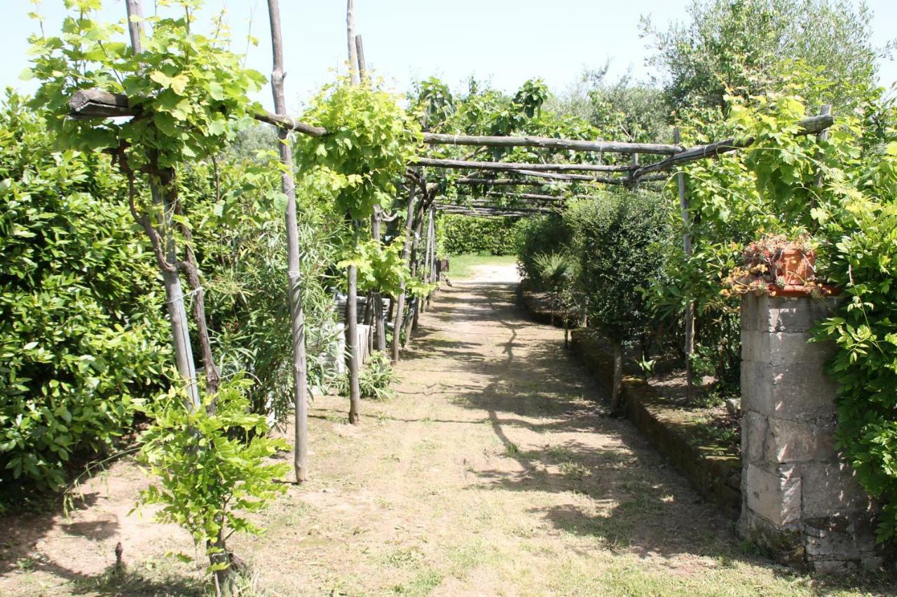 Agriturismo Piccolo Paradiso ピアーノ・ディ・ソッレント エクステリア 写真